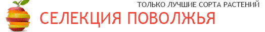 Главная